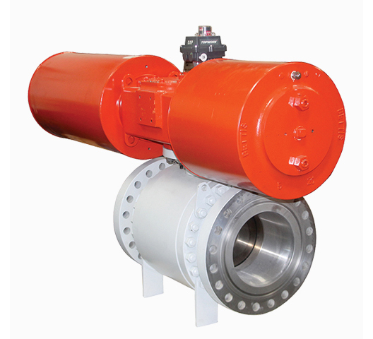 Butterfly Valve
